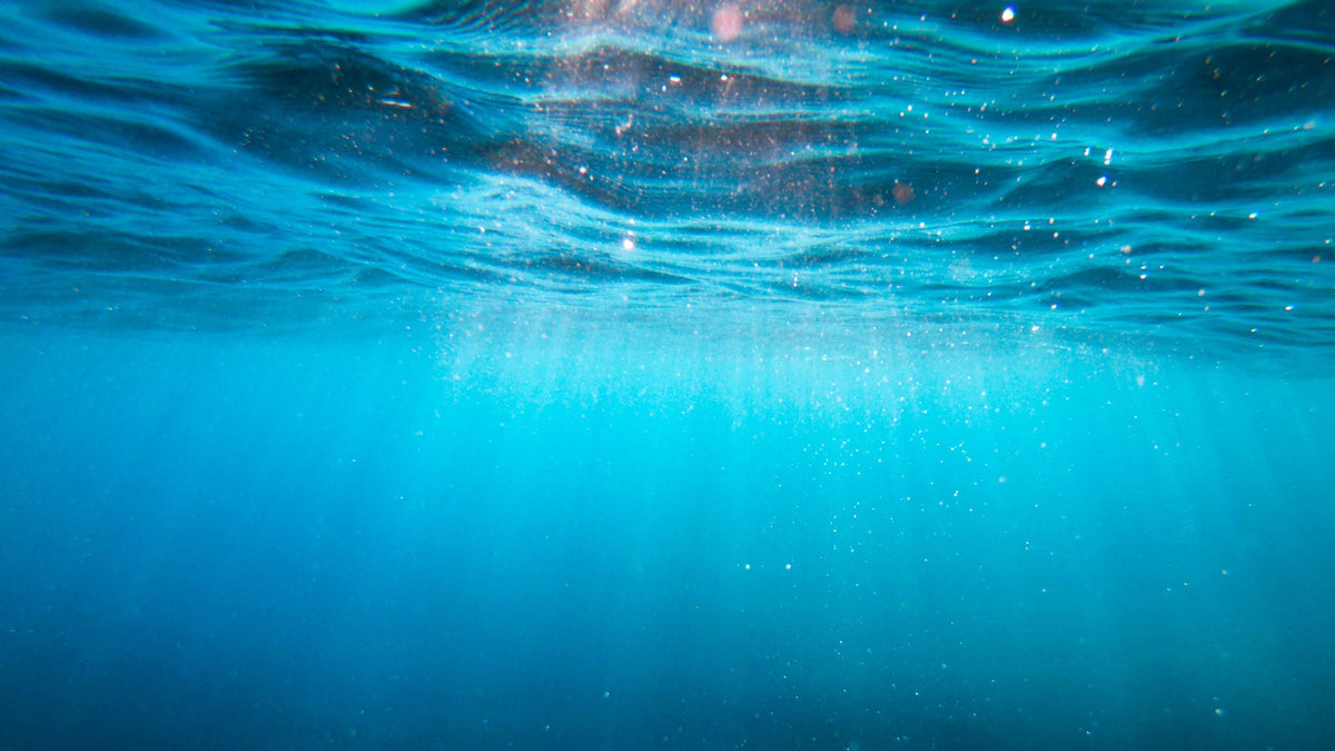 plastique ocean recyclage brosses à dents Image