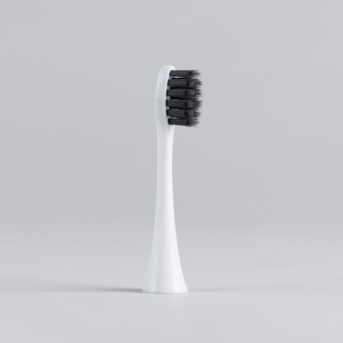 filter_Ivory-White