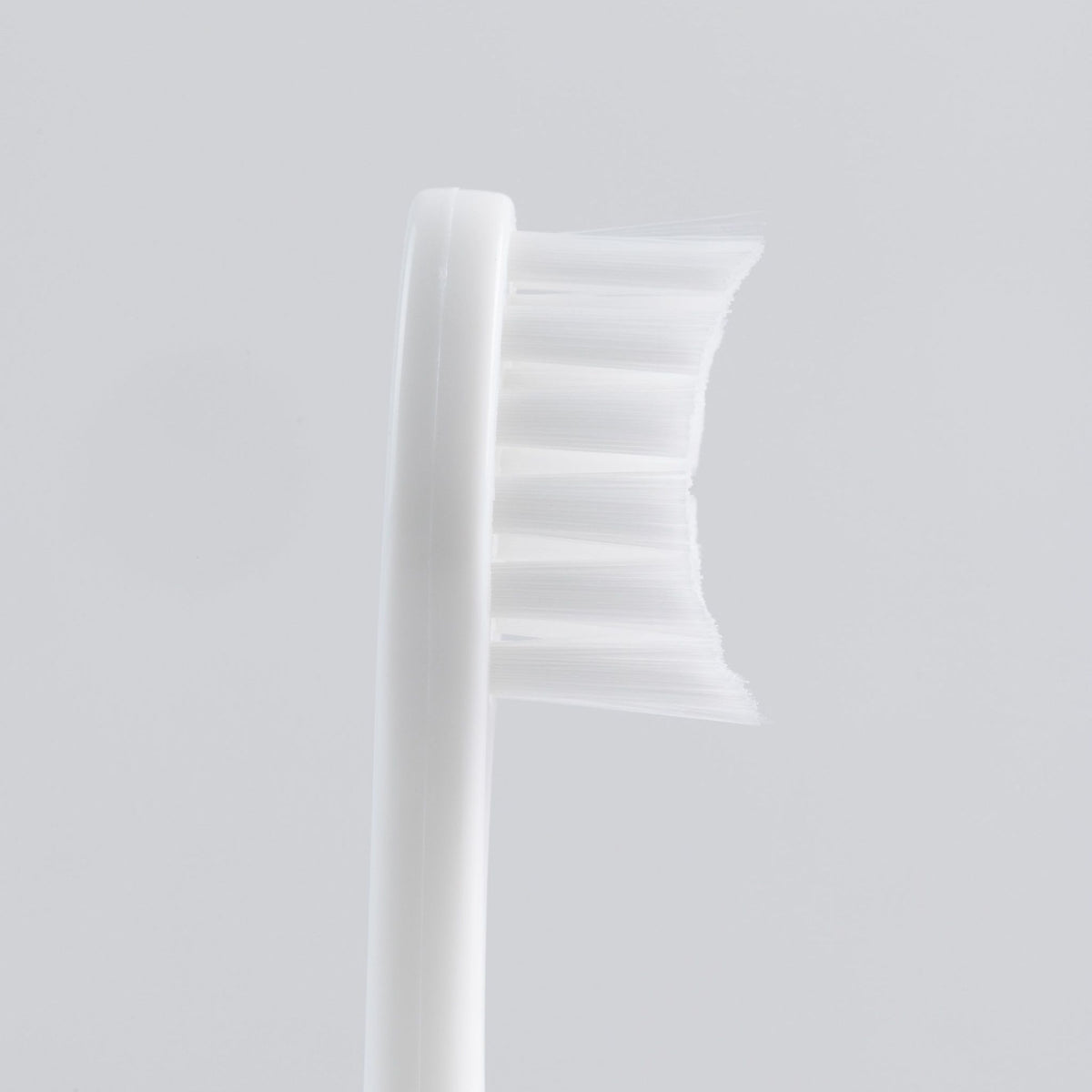 filter_Ivory-White