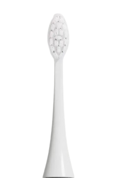 1 Tête de brosse à poils souples