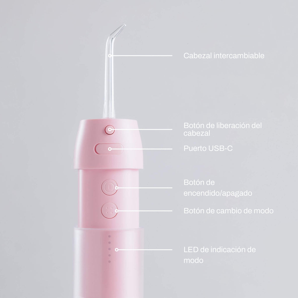filter_Pastel-Rose